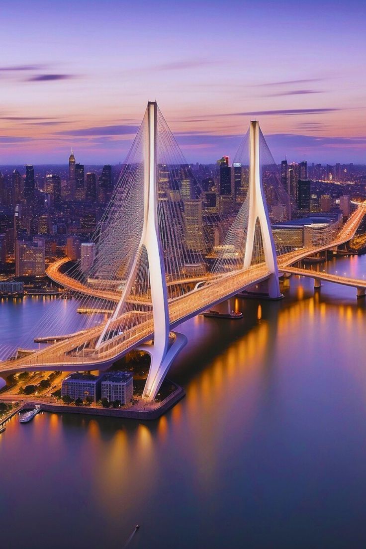 Erasmus Bridge